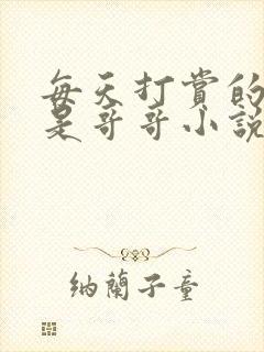 每天打赏的主播是哥哥小说