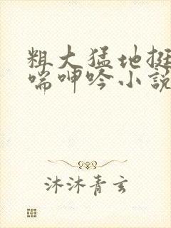 粗大猛地挺进娇喘呻吟小说