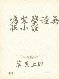 伪装学渣无删减版小说