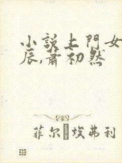 小说上门女婿叶辰,萧初然