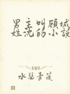 男主叫顾城女主姓沈的小说