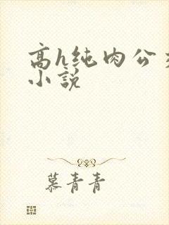 高h纯肉公交车小说