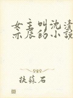 女主叫沈清澜周亦辰的小说