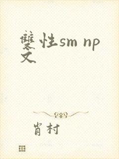 双性sm np文