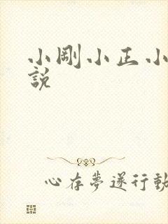 小刚小正小柔小说