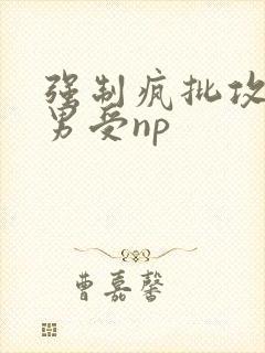 强制疯批攻虐直男受np封面