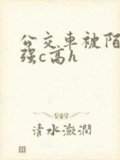 公交车被陌生人强c高h封面