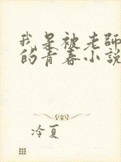 我是被老师教坏的青春小说