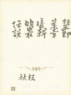 任明曦叶楚木小说最新章节阅读地址封面