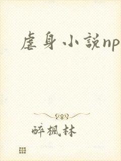 虐身小说np