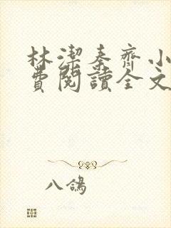 林洁秦齐小说免费阅读全文最新章节封面