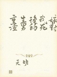 重生后我嫁给了渣男的死对头角色封面