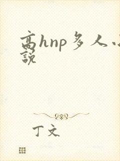 高hnp多人小说