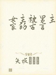 女主被男主买回家的古言