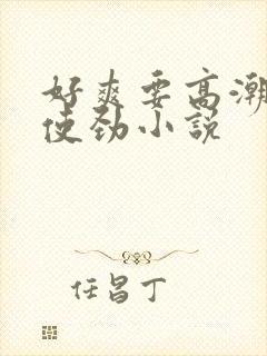 好爽要高潮了快使劲小说