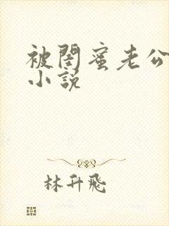 被闺蜜老公干了小说封面