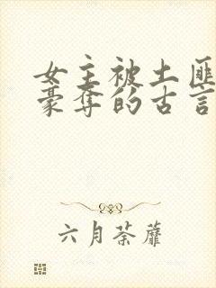 女主被土匪强取豪夺的古言