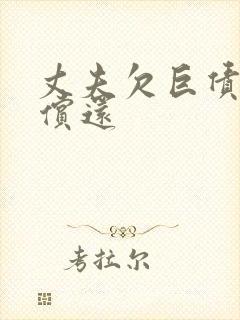 丈夫欠巨债妻子偿还