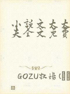 小说文太太的前夫全文免费阅读封面