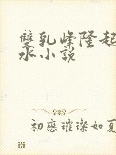 双乳峰隆起涨奶水小说