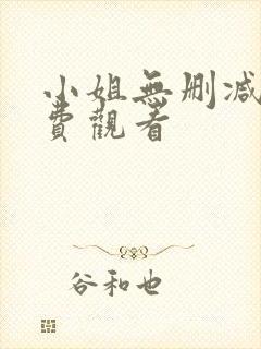 小姐无删减版免费观看封面