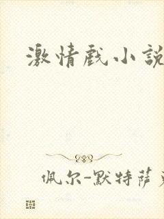 激情戏小说床戏