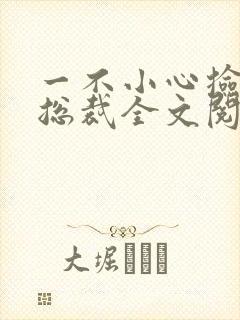 一不小心捡到个总裁全文阅读