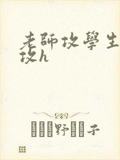 老师攻学生受主攻h