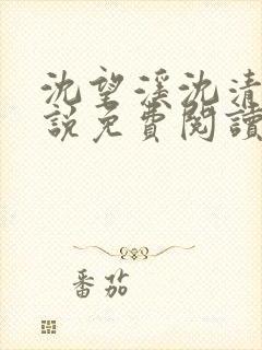 沈望溪沈清若小说免费阅读最新章节封面