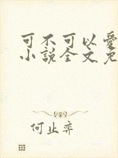 可不可以爱上我小说全文免费阅读