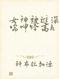 女神被进深处娇喘呻吟高h