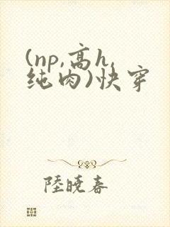 (np,高h,纯肉)快穿