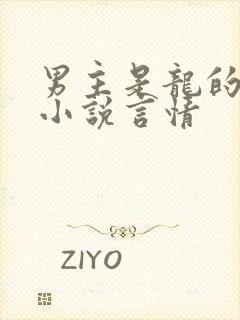 男主是龙的现代小说言情