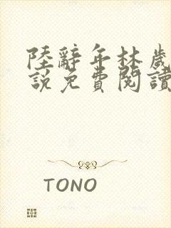 陆辞年林岁安小说免费阅读最新章节