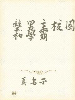 双男主校园校霸和学霸封面