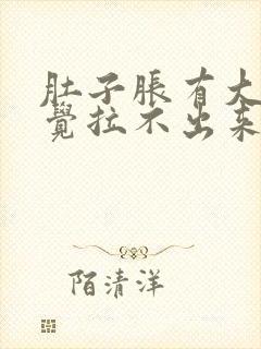 肚子胀有大便感觉拉不出来什么原因?