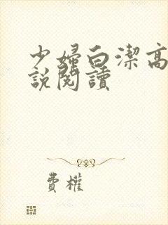 少妇白洁高义小说阅读封面