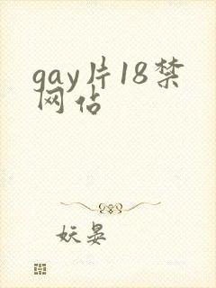 gay片18禁网站