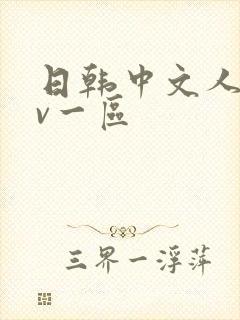 日韩中文人妻av一区封面