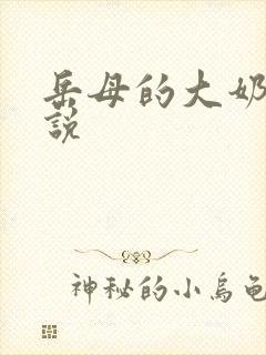 岳母的大奶子小说