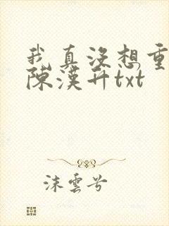 我真没想重生啊陈汉升txt