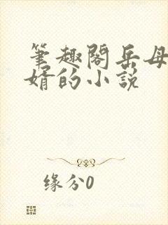 笔趣阁岳母和女婿的小说