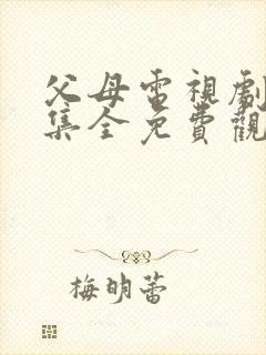 父母电视剧45集全免费观看