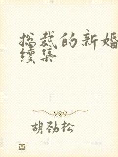 总裁的新婚罪妻续集