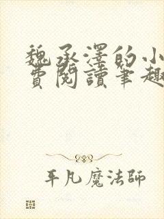 魏承泽的小说免费阅读笔趣阁