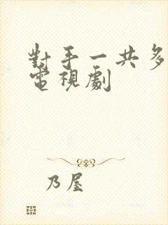 对手一共多少集电视剧