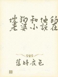 坏狗和他的可爱老婆小说在线阅读全文封面