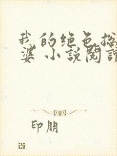 我的绝色总裁老婆 小说阅读