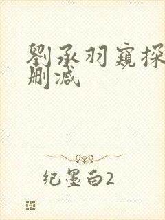 刘承羽窥探者无删减