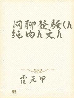 网聊发骚(h)纯肉h文h